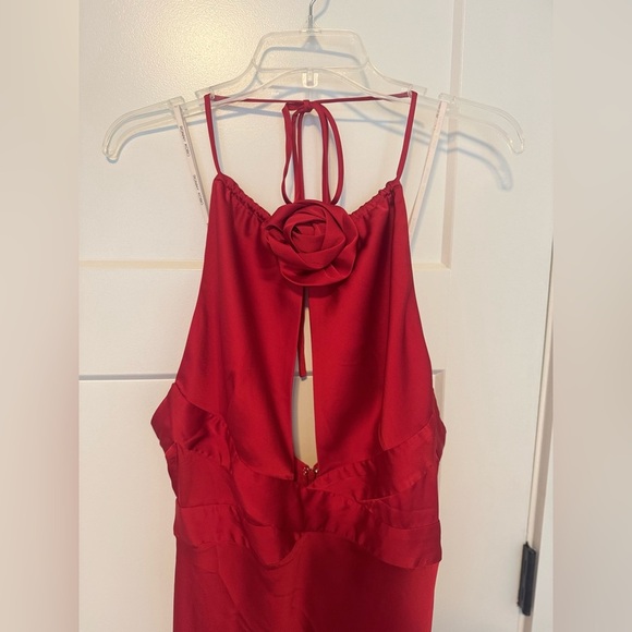 Ronny kobo red wonder dress - Picture 9 of 13